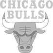 business chicago bulls