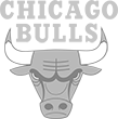 business chicago bulls