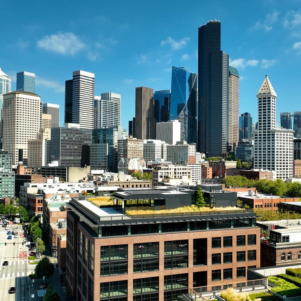 Aerial Drone Photografy Services in Chicago